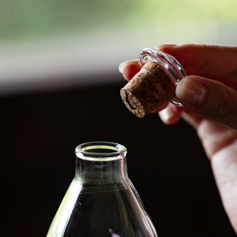 High Borosilicate Glass Bottle - Cold Brew Bottle recension och pris