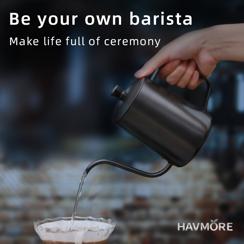 HAVMORE 304 Stainless Steel Te - Tea Coffee Utensils recension och pris