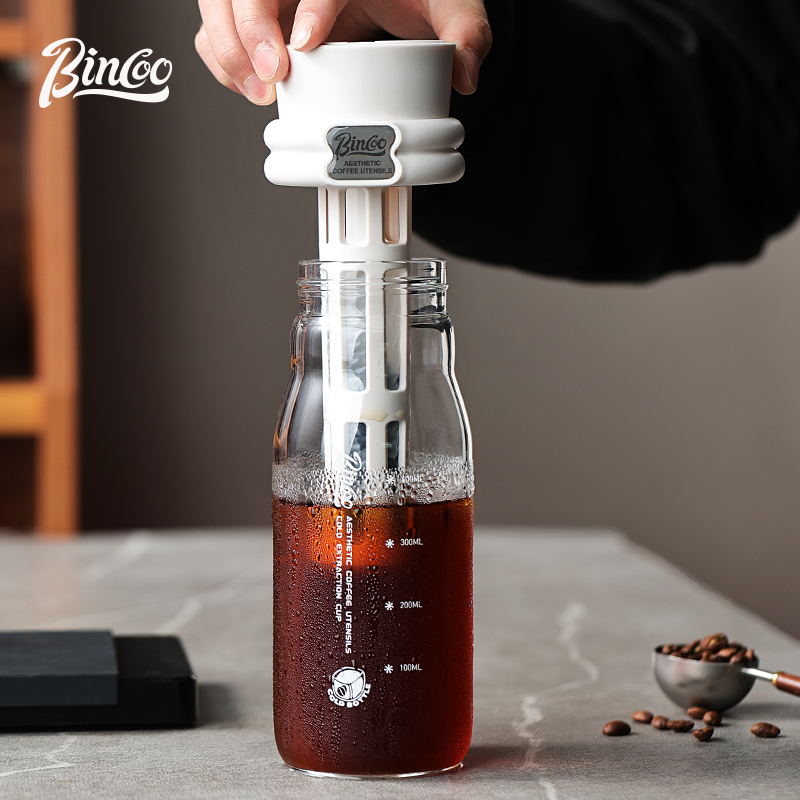 Bincoo 600ML Summer Cold Brew  - Cold Brew Bottle recension och pris